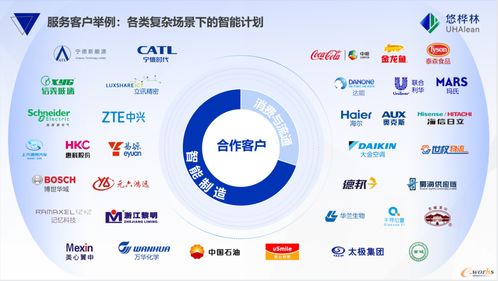 悠樺林位列國內(nèi)供應(yīng)商第一，《2025中國智能供應(yīng)鏈計(jì)劃與排程市場份額報(bào)告》正式發(fā)布——中豹供應(yīng)鏈洞察行業(yè)新趨勢